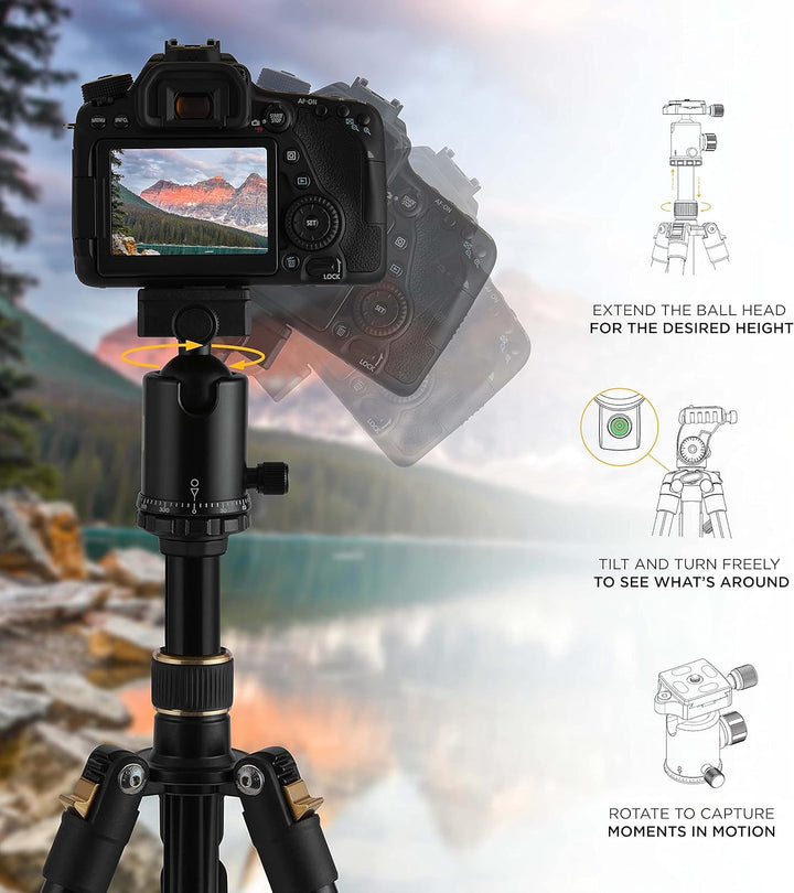 KODAK Photo Gear 63-Zoll-Stativ und -Einbeinstativ mit 360°-Kugelkopf | Hochwertiges professionelles