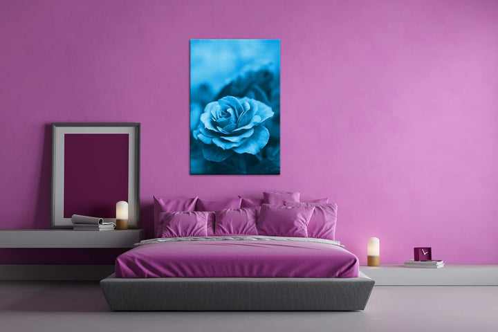 deyoli Rosarote Rosen Format: 60x40 Effekt: Monocrome Blau als Leinwand, Motiv fertig gerahmt auf Ec