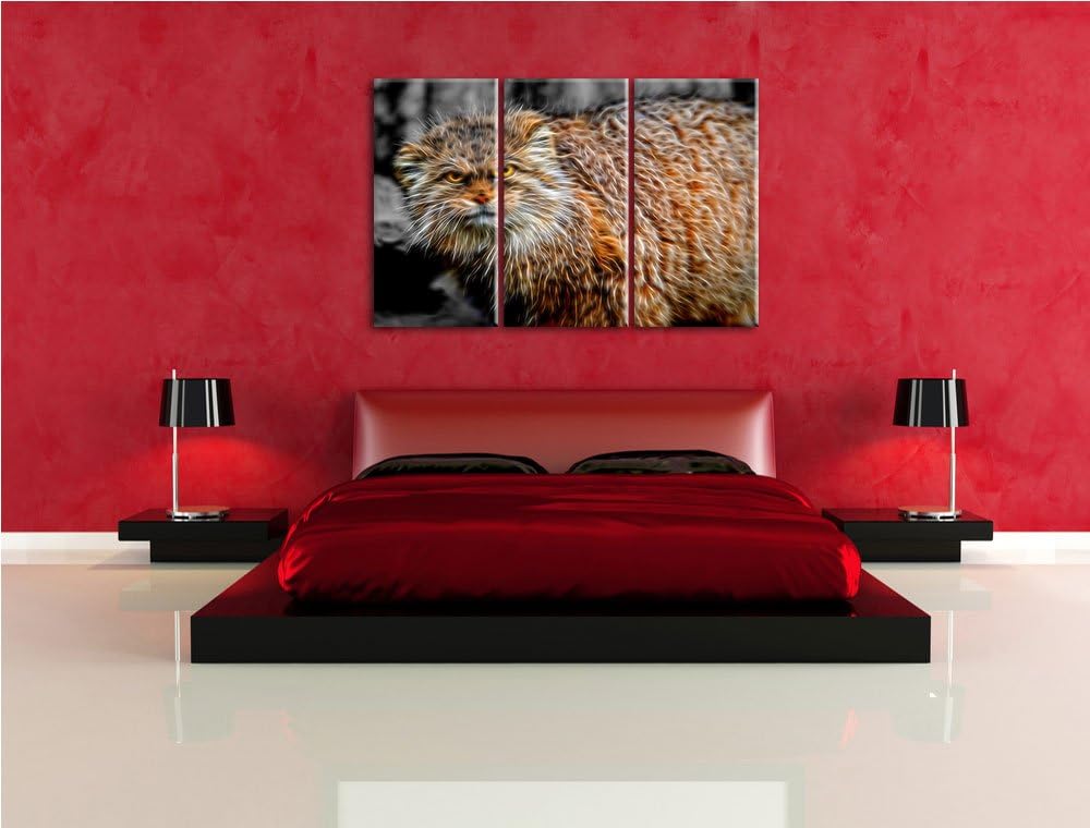 gereizte kleine Manul schwarz/weiss Deluxe 3-Teiler Leinwandbild 120x80 Bild auf Leinwand, XXL riesi