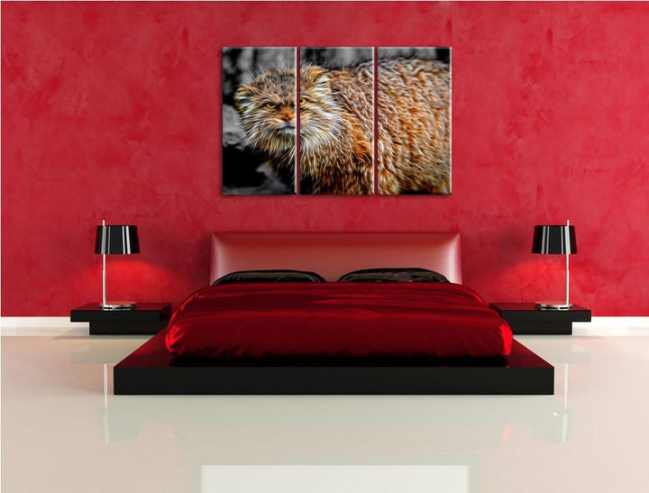 gereizte kleine Manul schwarz/weiss Deluxe 3-Teiler Leinwandbild 120x80 Bild auf Leinwand, XXL riesi