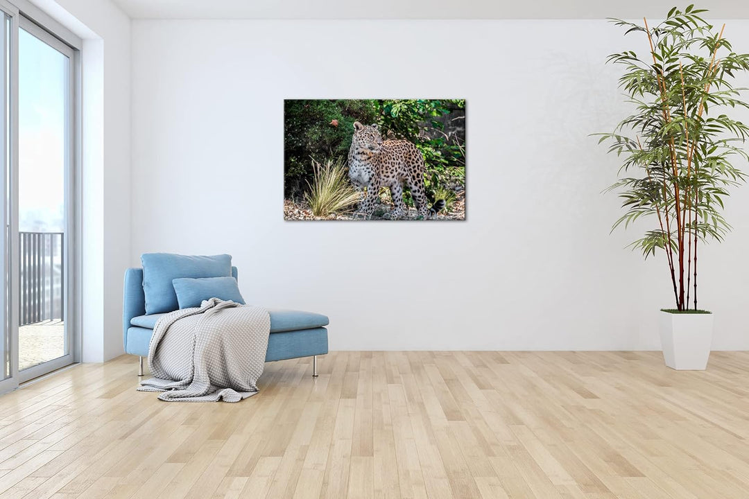 deyoli majestätischer Leopard Format: 100x70 als Leinwand, Motiv fertig gerahmt auf Echtholzrahmen,