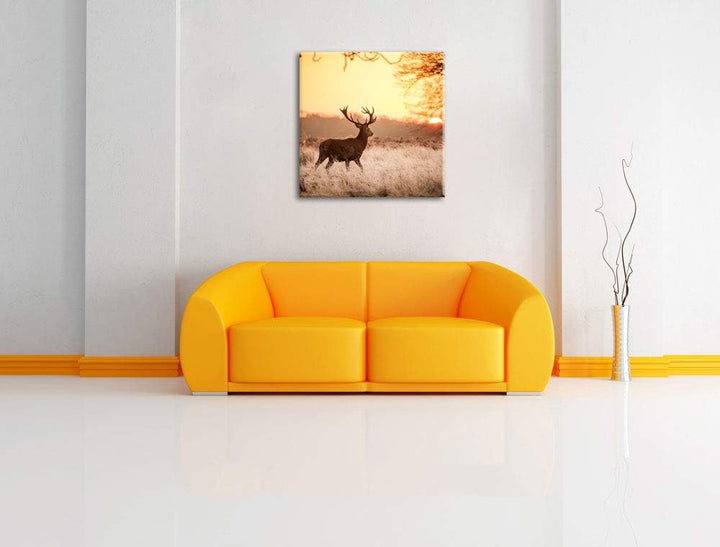 Hirsch im Sonnenuntergang, Format: 70x70 auf Leinwand, XXL riesige Bilder fertig gerahmt mit Keilrah