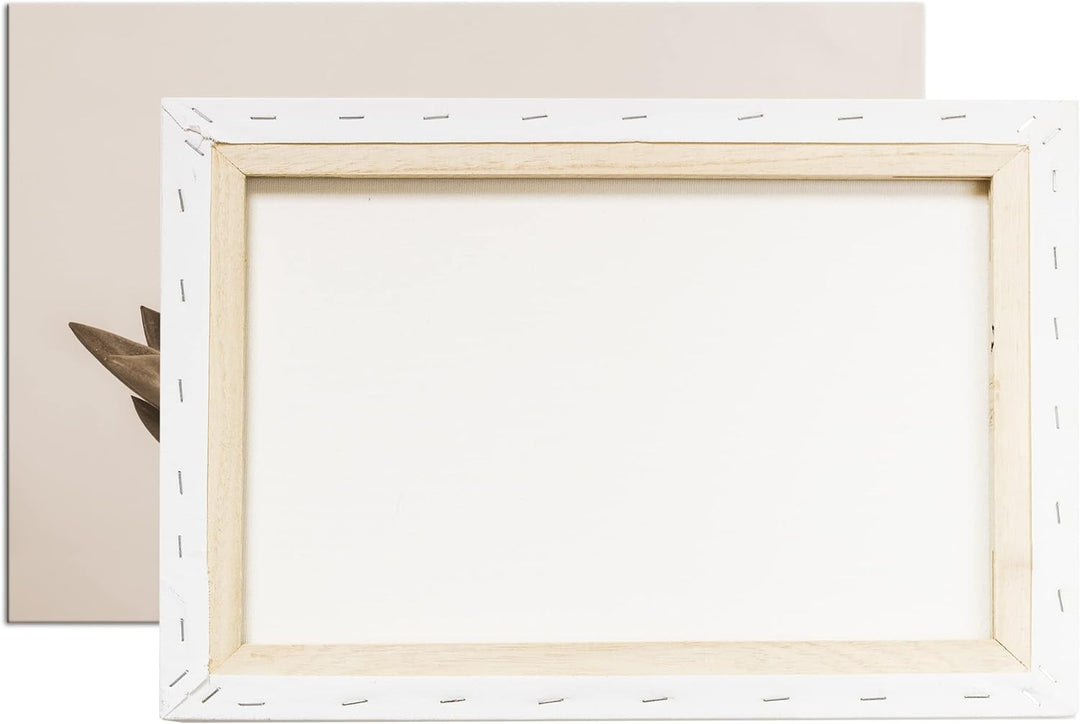 deyoli wachsende Sukkulente Format: 120x80 als Leinwand, Effekt: Sepia, Motiv fertig gerahmt auf Ech