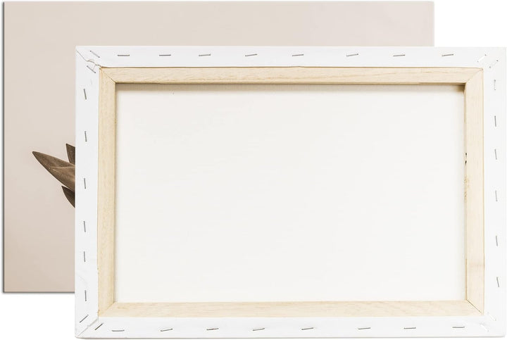 deyoli wachsende Sukkulente Format: 120x80 als Leinwand, Effekt: Sepia, Motiv fertig gerahmt auf Ech