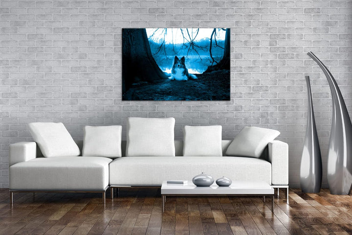 deyoli Niedlicher Hund beim Sonnenuntergang Format 80x60 Effekt: Monocrome Blau als Leinwandbild, Mo