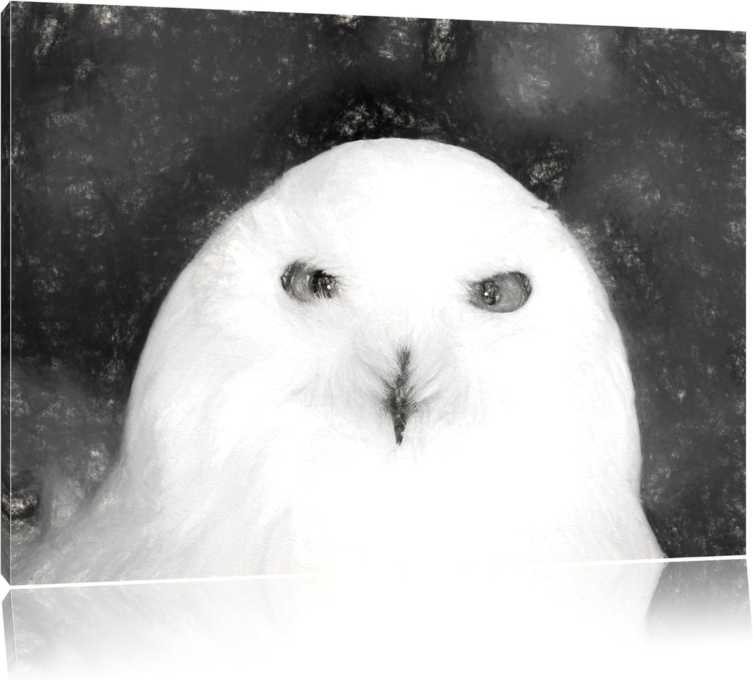Prächtige schneeweisse Eule als Leinwandbild/Grösse: 100x70 / Wandbild/Kunstdruck/fertig bespannt, 1