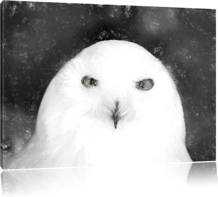 Prächtige schneeweisse Eule als Leinwandbild/Grösse: 100x70 / Wandbild/Kunstdruck/fertig bespannt, 1