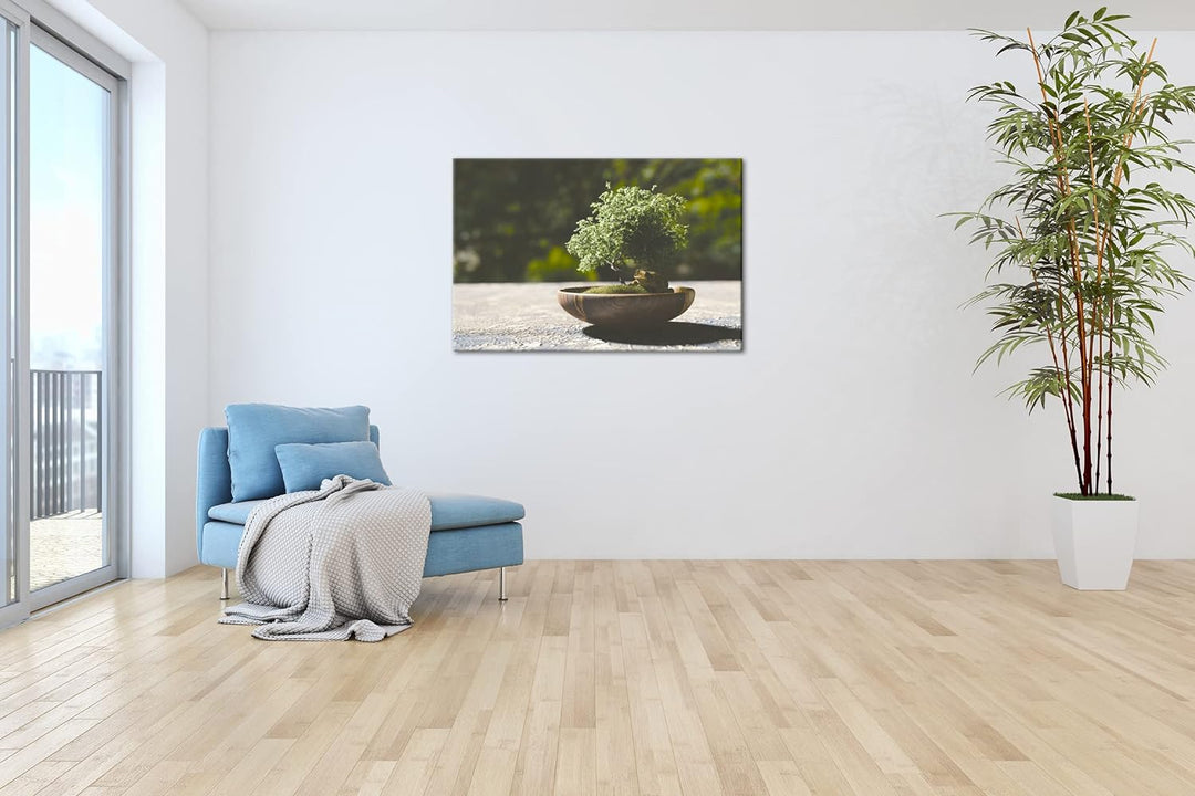 deyoli kleiner niedlicher Bonsai Format: 80x60 als Leinwandbild, Motiv fertig gerahmt auf Echtholzra