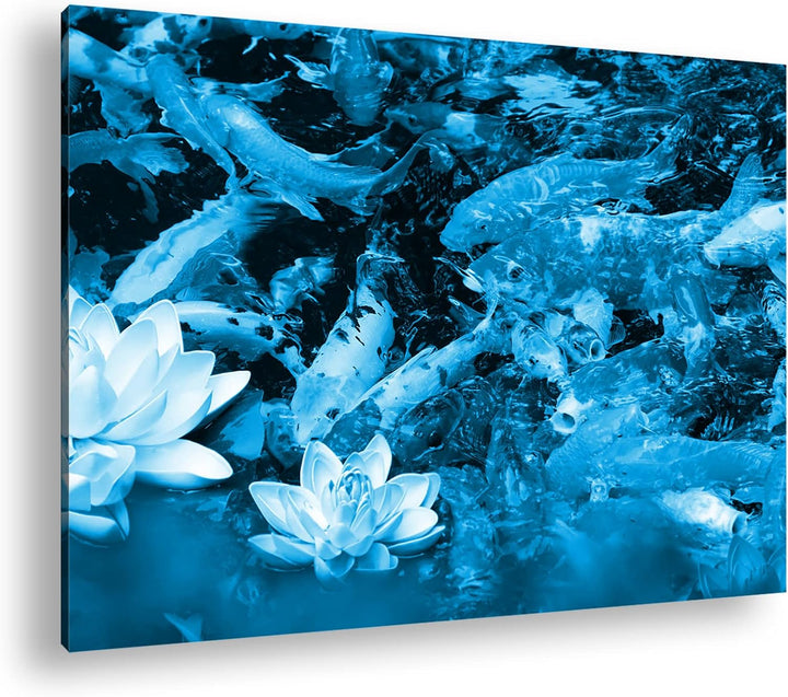deyoli Teich voller Koi Karpfen Format 80x60 Effekt: Monocrome Blau als Leinwandbild, Motiv fertig g