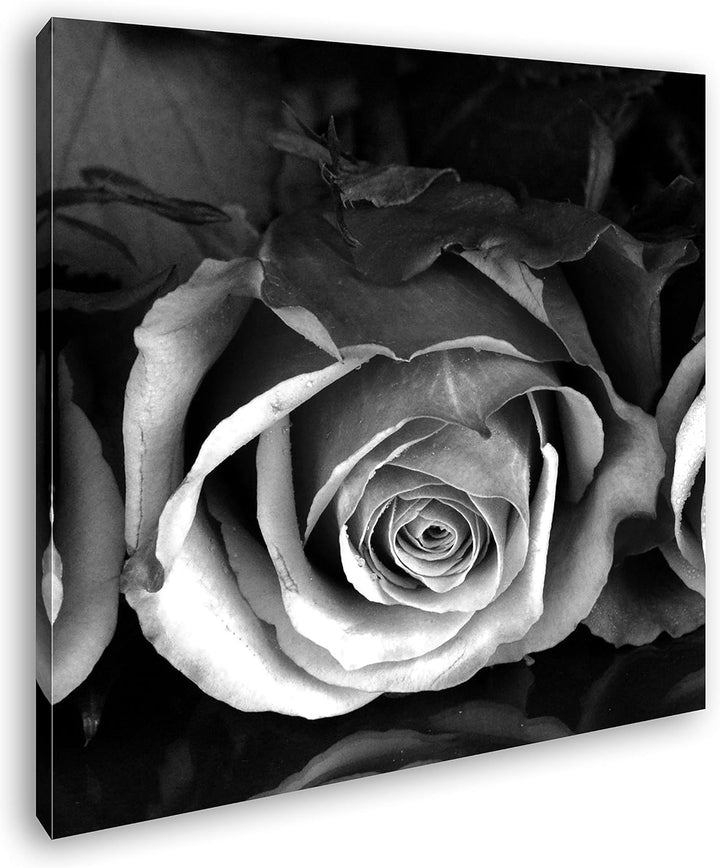 deyoli Romantische Rosen Format: 70x70 Effekt: Schwarz&Weiss als Leinwandbild, Motiv auf Echtholzrah