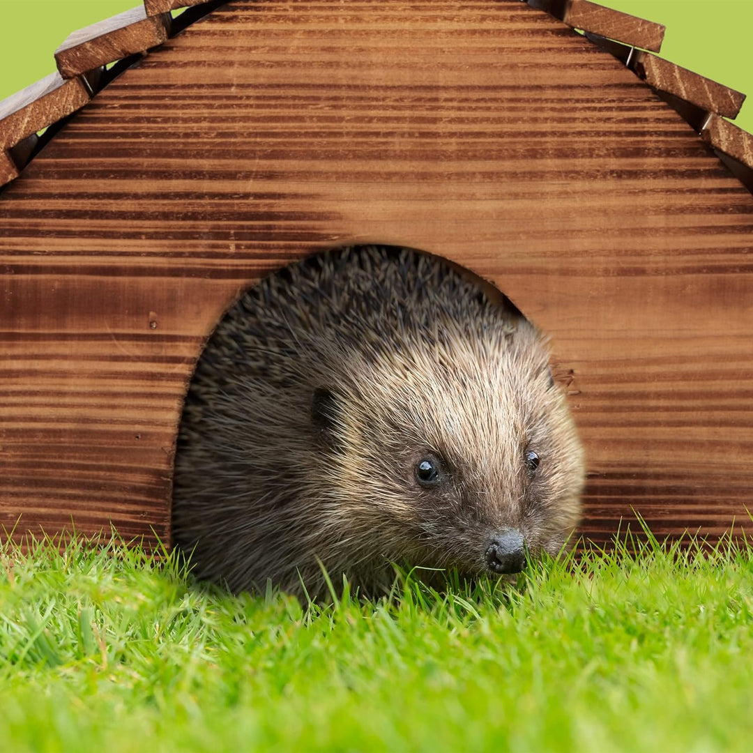 Relaxdays Igelhaus, geflammtes Holz, Igelhotel Boden, katzensicher, Winterquartier Igel, Garten, HBT