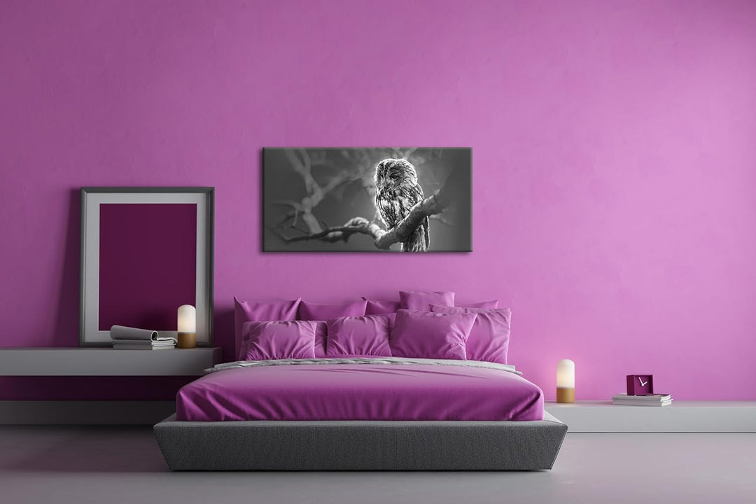 deyoli Lauernde Eule Panorama 120x60 cm Effekt: Schwarz/Weiss als Leinwandbild, Motiv fertig gerahmt