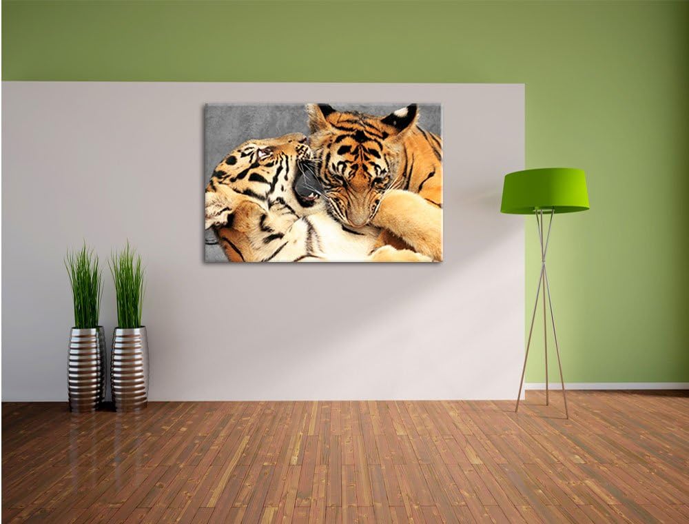 Pixxprint Zwei Junge Tiger beim Kämpfen als Leinwandbild/Grösse: 100x70 cm/Wandbild/Kunstdruck/ferti
