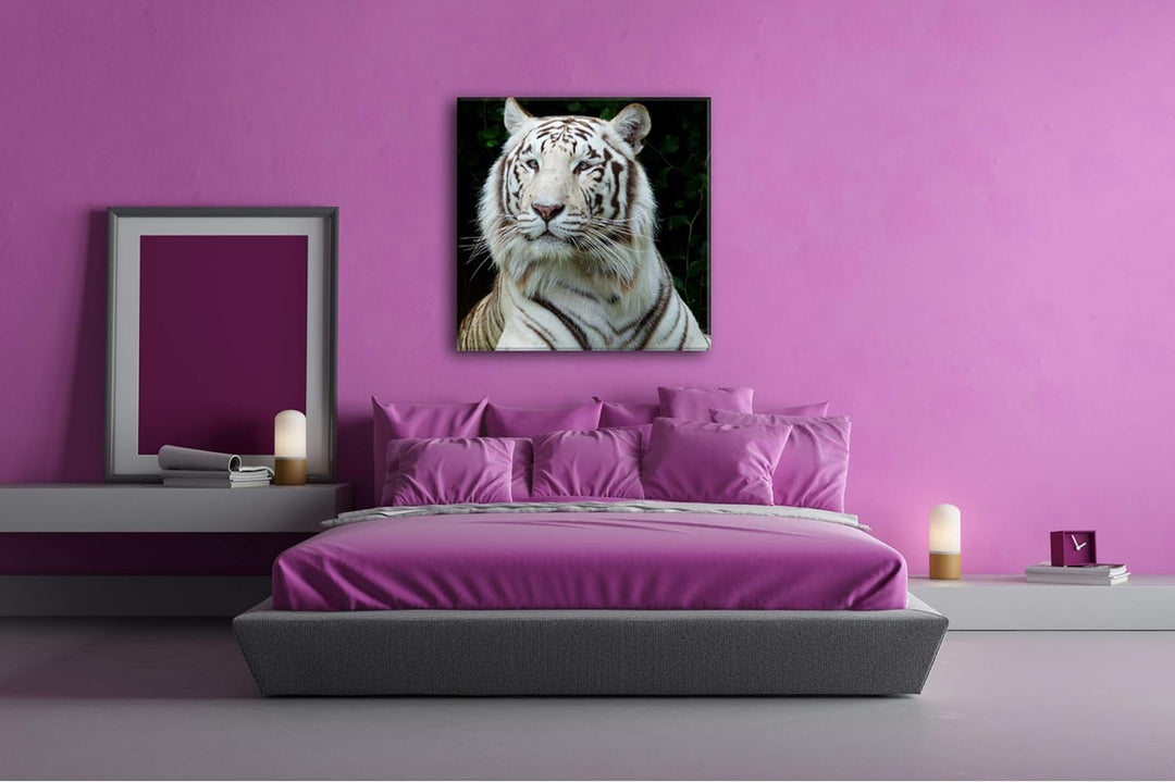 deyoli majestätischer Tiger im Format: 70x70 als Leinwandbild, Motiv fertig gerahmt auf Echtholzrahm