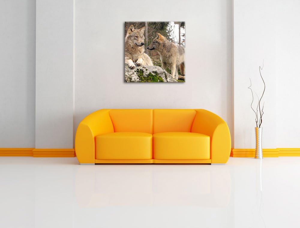 Pixxprint Wölfe im Wald, Format: 70x70 auf Leinwand, XXL riesige Bilder fertig gerahmt mit Keilrahme