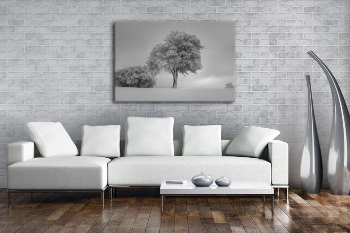 deyoli schneebedeckte Bäume Format: 100x70 Effekt: Schwarz/Weiss als Leinwand, Motiv fertig gerahmt
