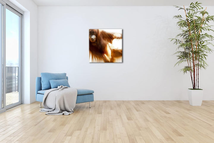 deyoli lustiger Schimpanse Format: 70x70 als Leinwandbild, Motiv fertig gerahmt auf Echtholzrahmen,