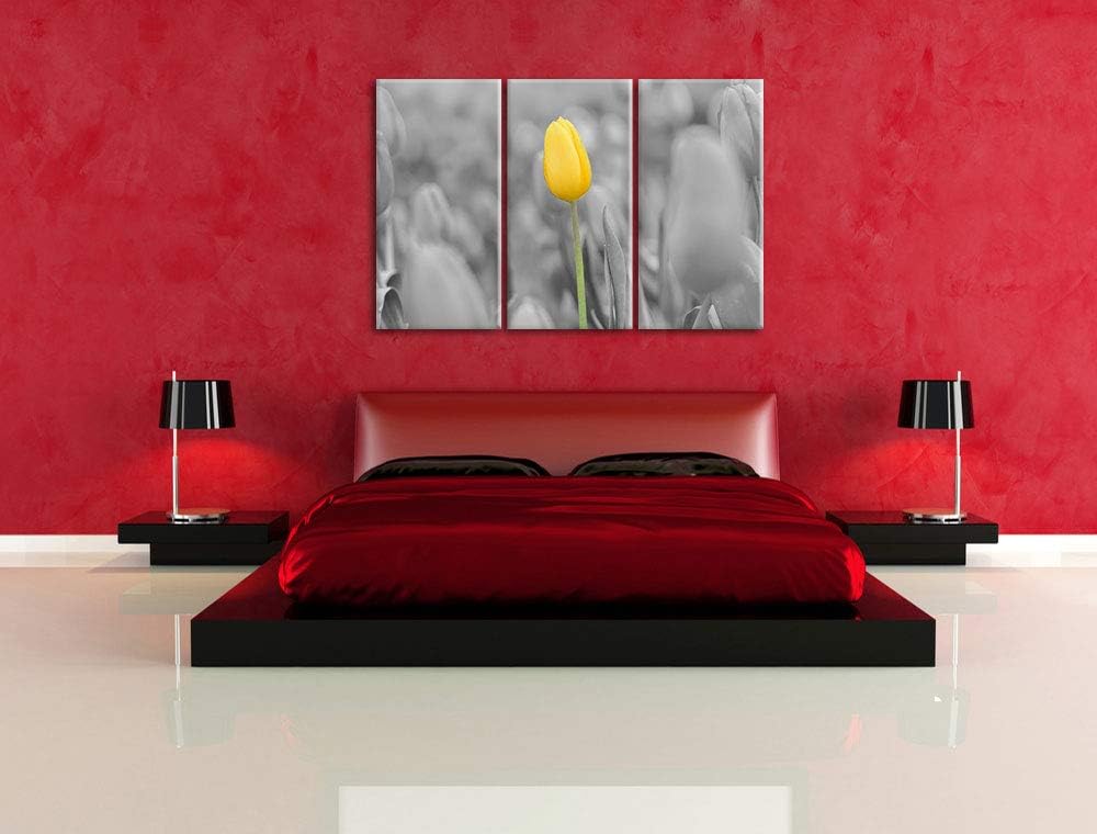 Gelbes Tulpenmeer schwarz/weiss 3-Teiler Leinwandbild 120x80 Bild auf Leinwand, XXL riesige Bilder f