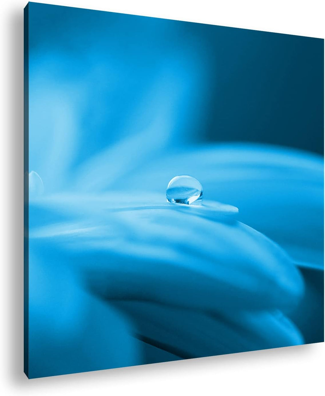 deyoli Wassertropfen auf Blauer Blume im Format: 70x70 Effekt: Zeichnung als Leinwandbild, Motiv auf