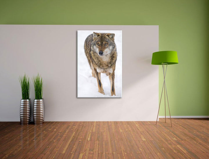 Pixxprint Wolf in Schneelandschaft auf Leinwand, XXL riesige Bilder fertig gerahmt mit Keilrahmen, K