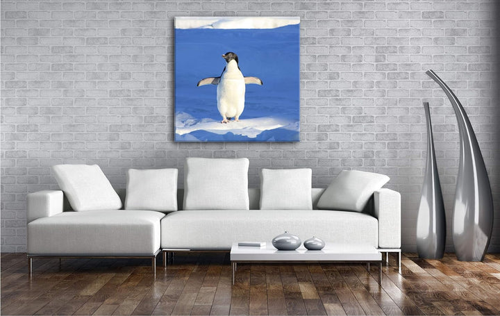 deyoli süsser junger Pinguin Format: 70x70 als Leinwandbild, Motiv fertig gerahmt auf Echtholzrahmen
