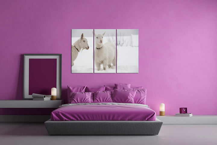 deyoli weisse Ziegen im Schnee Format: 3-teilig 120x80 als Leinwand, Motiv fertig gerahmt auf Echtho