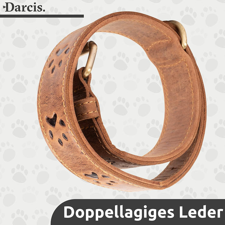 Darcis Hundehalsband Braun - Extrem Robustes Lederhalsband aus hochwertigem Rindsleder - Ideal für S