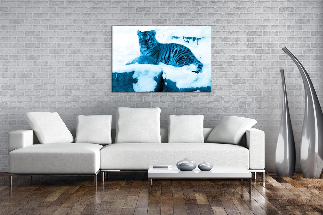 deyoli ruhig liegender Tiger im Schnee Format 80x60 Effekt: Monocrome Blau als Leinwandbild, Motiv f