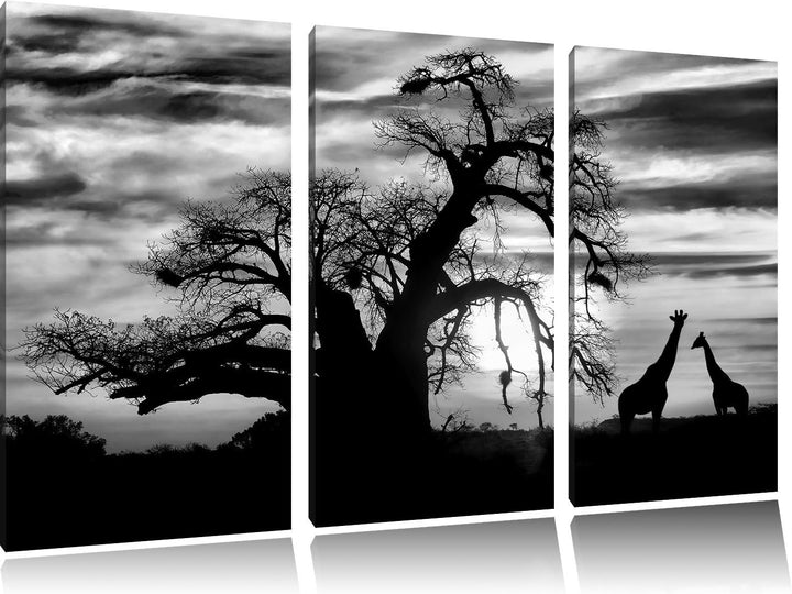 Pixxprint Zwei Giraffen in der Wüste als Leinwandbild/Grösse: 3 Teilig (120x80) cm/Wandbild/Kunstdru
