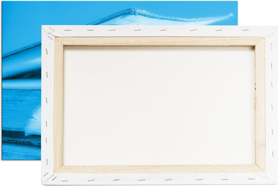 deyoli weisse Rose im Buch Format: 60x40 Effekt: Monocrome Blau als Leinwand, Motiv fertig gerahmt a