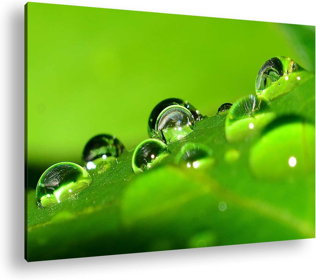 deyoli Wassertropfen auf grünem Blatt im Format: 100x70 als Leinwandbild, Motiv fertig gerahmt auf E