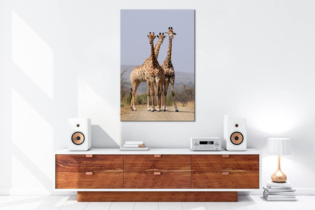 deyoli süsse Giraffen Format: 100x70 als Leinwand, Motiv fertig gerahmt auf Echtholzrahmen, Hochwert