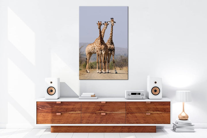 deyoli süsse Giraffen Format: 100x70 als Leinwand, Motiv fertig gerahmt auf Echtholzrahmen, Hochwert