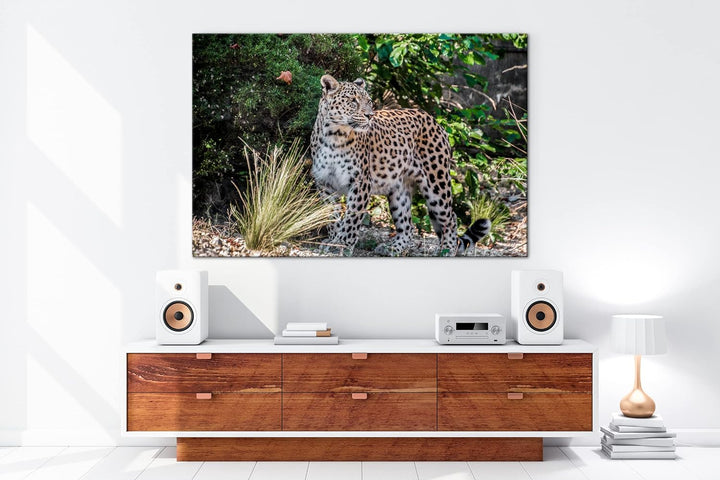 deyoli majestätischer Leopard Format: 100x70 als Leinwand, Motiv fertig gerahmt auf Echtholzrahmen,