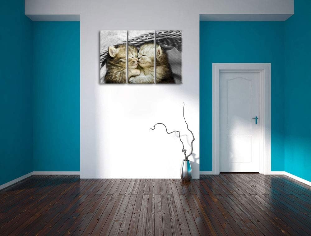 Pixxprint Zwei süsse Babykatzen im Korb als Leinwandbild | Grösse: 3 Teilig (120x80) | Wandbild| Kun