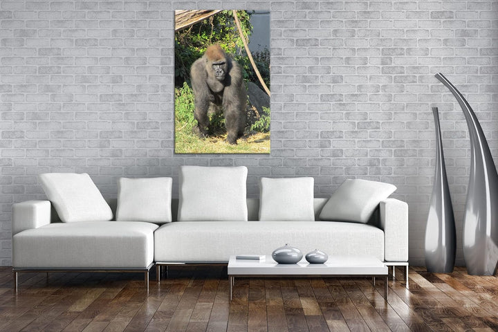 deyoli stolzer Gorilla Format: 80x60 als Leinwand, Motiv fertig gerahmt auf Echtholzrahmen, Hochwert
