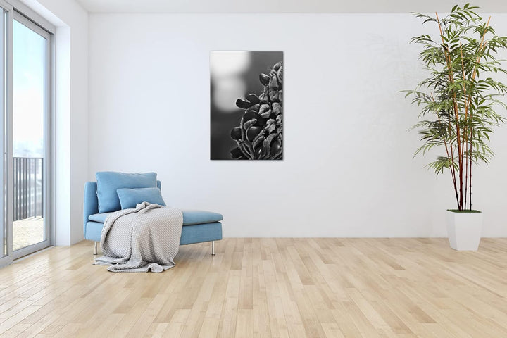 deyoli Südliche Magnolie Stierbucht Format: 80x60 Effekt: Schwarz&Weiss als Leinwandbild, Motiv fert