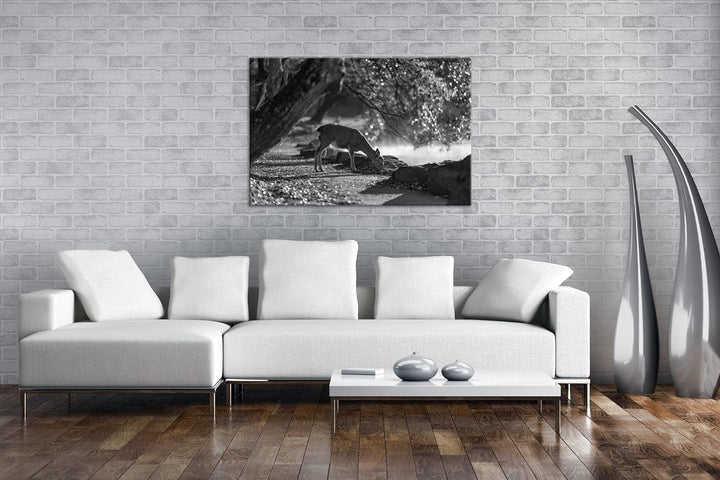 deyoli scheues Reh Format: 80x60 Effekt: Schwarz&Weiss als Leinwandbild, Motiv fertig gerahmt auf Ec