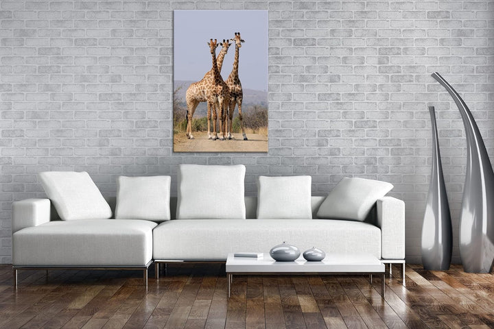 deyoli süsse Giraffen Format: 100x70 als Leinwand, Motiv fertig gerahmt auf Echtholzrahmen, Hochwert