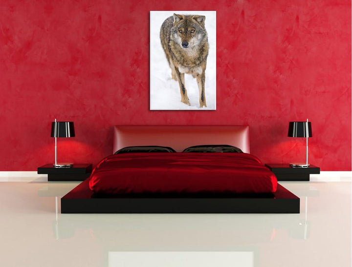 Pixxprint Wolf in Schneelandschaft auf Leinwand, XXL riesige Bilder fertig gerahmt mit Keilrahmen, K