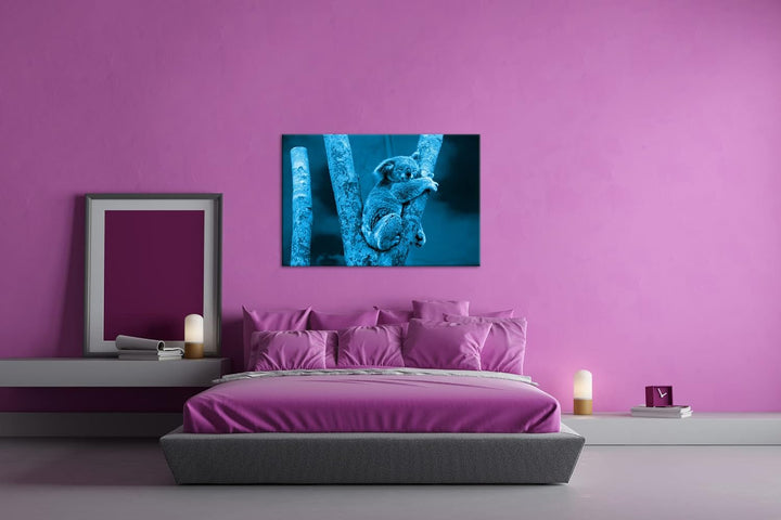 deyoli niedlich schlafender Koalabär Format 80x60 Effekt: Monocrome Blau als Leinwandbild, Motiv fer