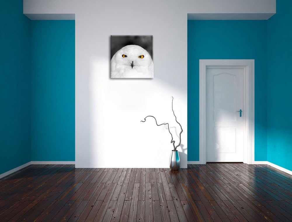Prächtige schneeweisse Eule Schwarz/Weiss, Format: 70x70 auf Leinwand, 70x70