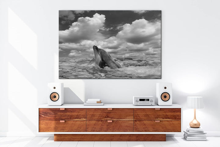 deyoli zauberhafter Delfin Effekt: Schwarz&Weiss Format: 80x60 als Leinwandbild, Motiv fertig gerahm