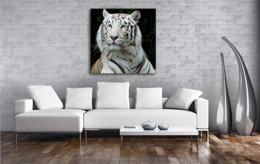 deyoli majestätischer Tiger im Format: 70x70 als Leinwandbild, Motiv fertig gerahmt auf Echtholzrahm