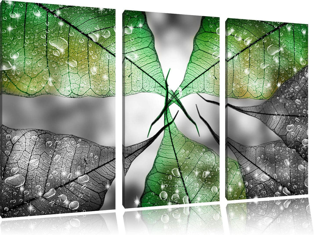 grüne Blätter mit Wassertropfen schwarz/weiss 3-Teiler Leinwandbild 120x80 Bild auf Leinwand, XXL ri