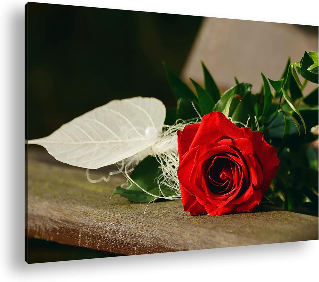 deyoli Romantische Rote Rose Format: 60x40 als Leinwandbild, Motiv fertig gerahmt auf Echtholzrahmen