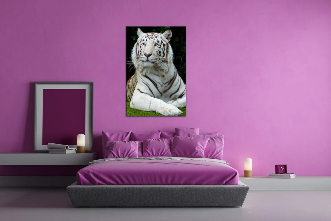 deyoli majestätischer Tiger im Format: 80x60 als Leinwandbild, Motiv fertig gerahmt auf Echtholzrahm