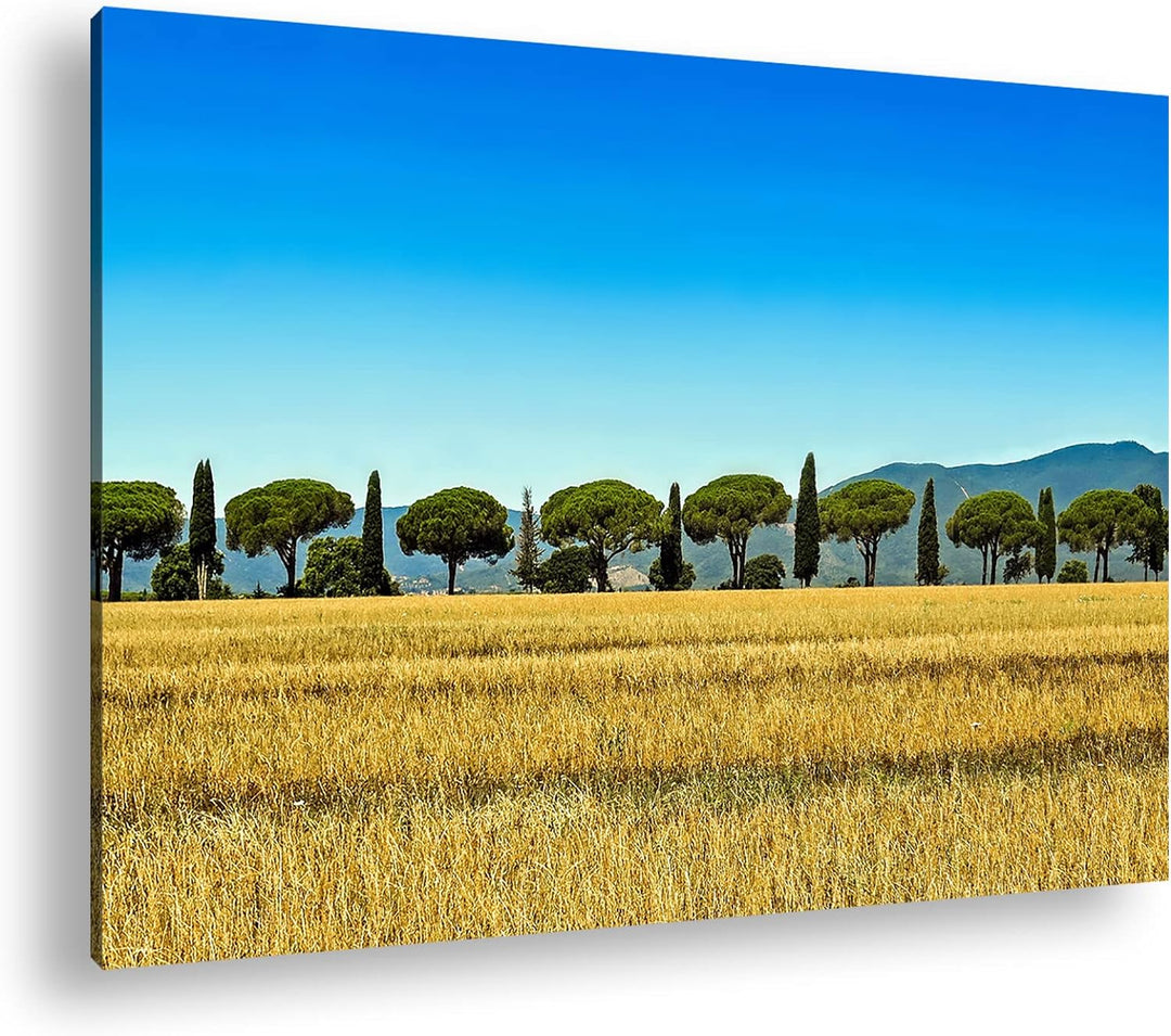 deyoli Toskana Landschaft mit Zypressen und Pinien im Format: 100x70 als Leinwandbild, Motiv fertig
