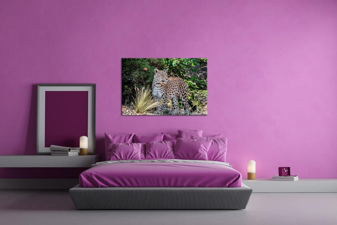 deyoli majestätischer Leopard Format: 100x70 als Leinwand, Motiv fertig gerahmt auf Echtholzrahmen,