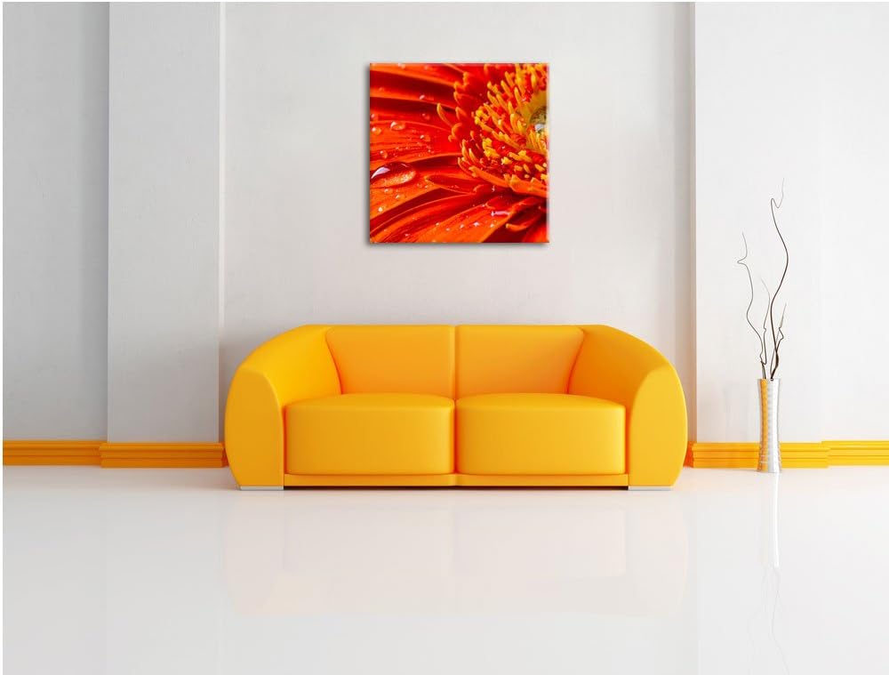 Gerbera mit Wassertropfen, Format: 70x70 auf Leinwand, XXL riesige Bilder fertig gerahmt mit Keilrah